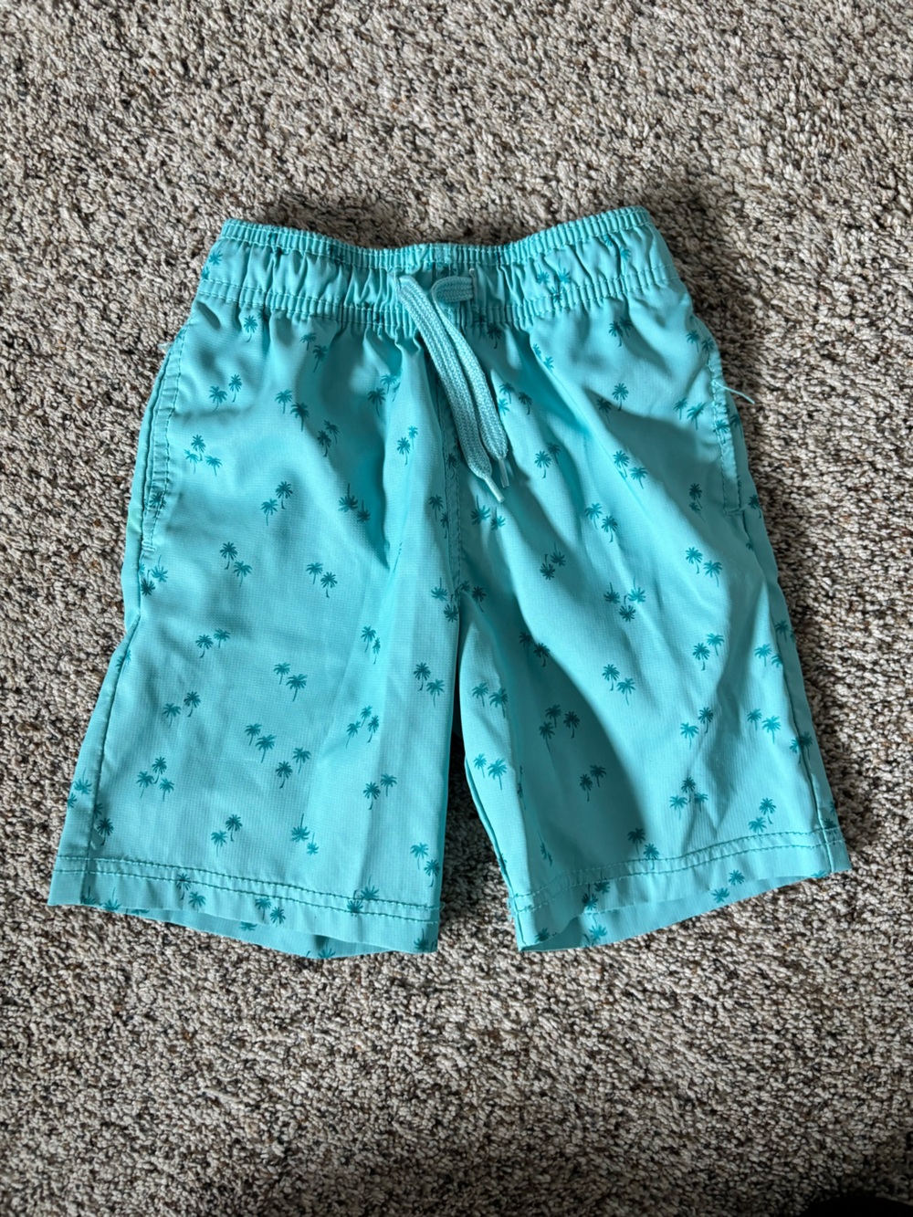 Oshkosh Swim Trunks